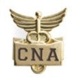 Medical Insignia